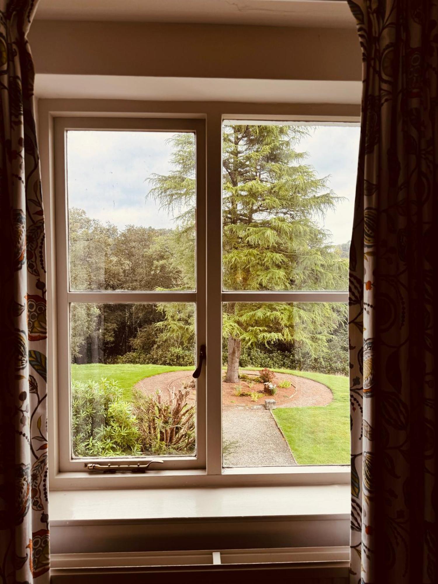 The Falcondale At Lampeter Quarto foto